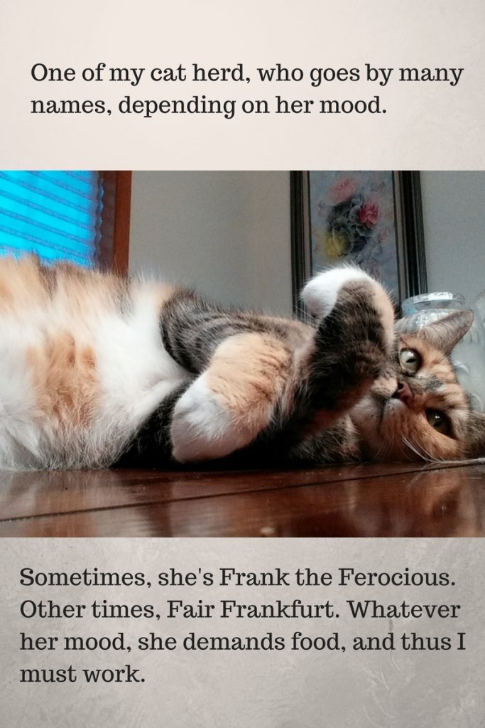My cat, Frank.